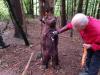 Klicken zum ansehen 21462613_740653402802629_1448488068261314301_n_t1.jpg