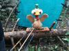 Klicken zum ansehen 21463267_1513153565390575_1877874116506375435_n_t1.jpg