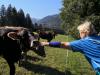 Klicken zum ansehen img_20240921_112524_t1.jpg