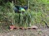 Klicken zum ansehen whatsapp_image_2024-10-06_at_1_t1_56.jpeg